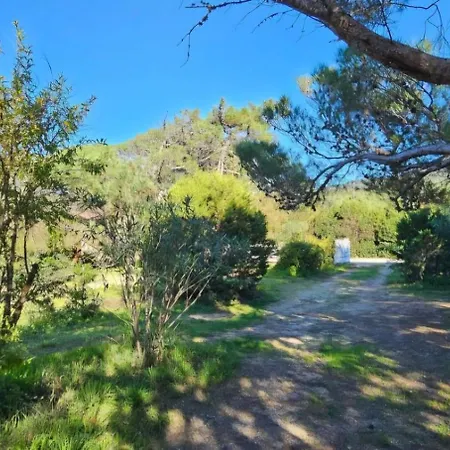 Appartamento T3 Paradisiaque Sur La Plage, Les Pieds Dans L'eau