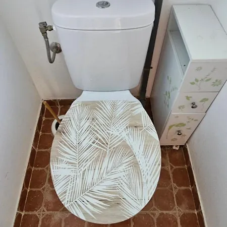 T3 Paradisiaque Sur La Plage, Les Pieds Dans L'eau *