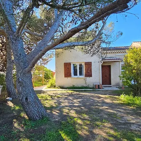 T3 Paradisiaque Sur La Plage, Les Pieds Dans L'eau Olmeto (Corsica)