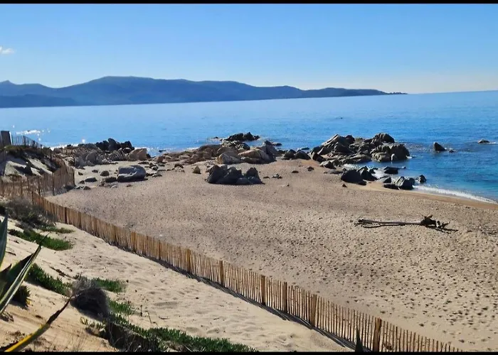 Daire T3 Paradisiaque Sur La Plage, Les Pieds Dans L'eau Olmeto (Corsica)