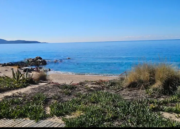 T3 Paradisiaque Sur La Plage, Les Pieds Dans L'eau Daire Olmeto (Corsica)