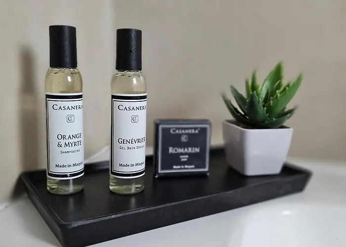 T3 Paradisiaque Sur La Plage, Les Pieds Dans L'eau Olmeto (Corsica)